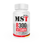 b300-1.png